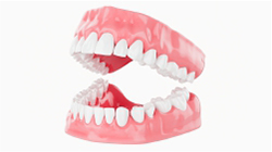 If you have lost your teeth, don't worry. Call us for treating you with dentures in our hospital